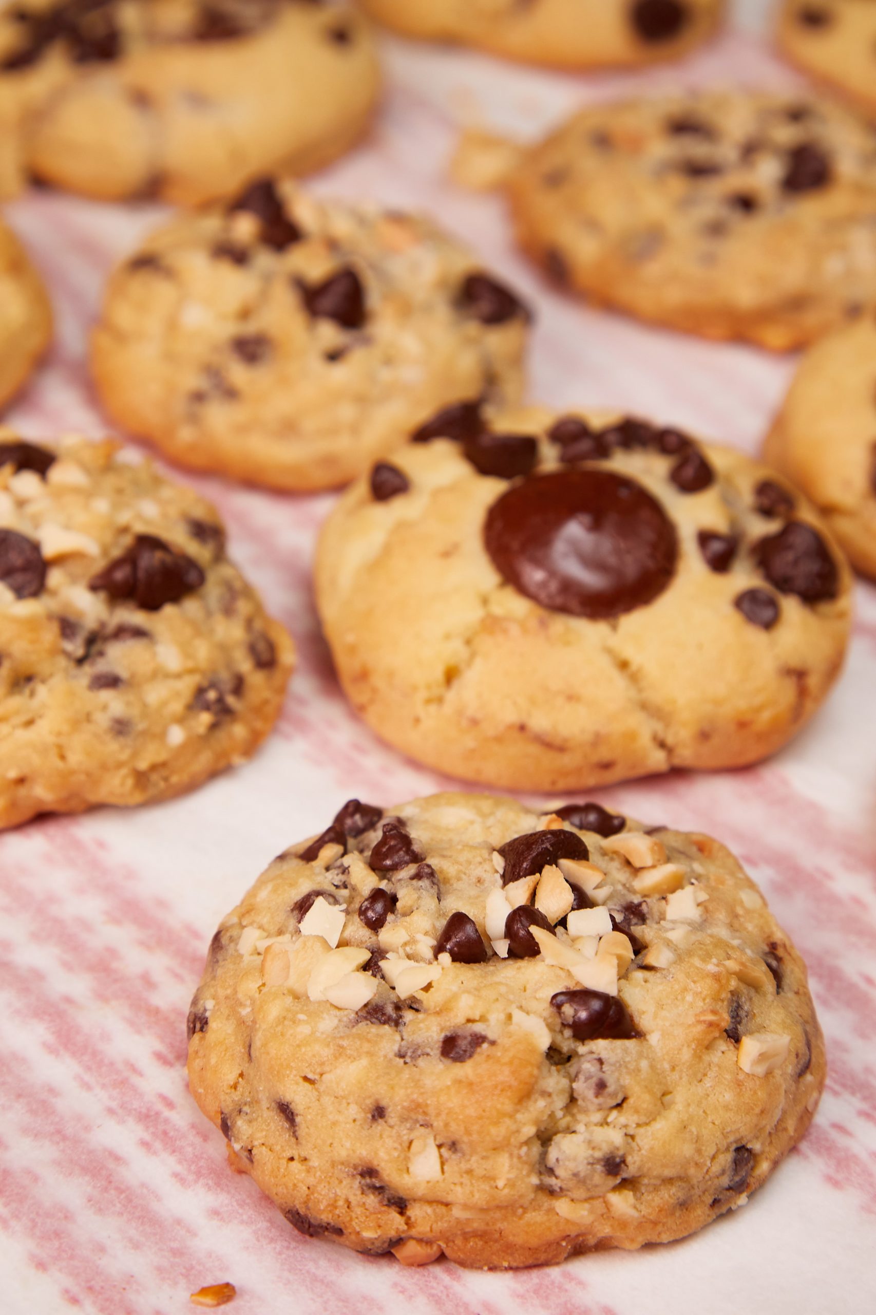 thick-and-moist-chocolate-chip-cookies-new-gen-baker